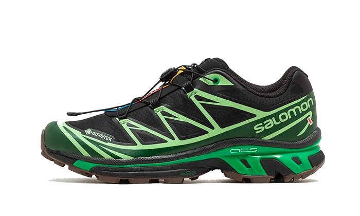 Advanced XT-6 Gore-Tex Eden Green Ash