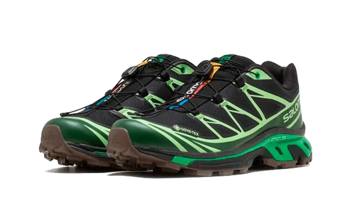 Advanced XT-6 Gore-Tex Eden Green Ash