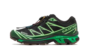 Advanced XT-6 Gore-Tex Eden Green Ash