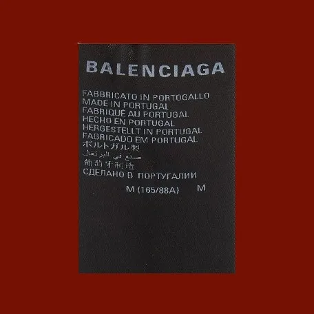 BALENCIAGA  |Unisex Street Style Plain Cotton Logo Hoodies & Sweatshirts